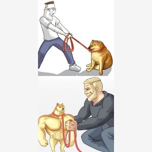 Swole Cheems Chad Doge